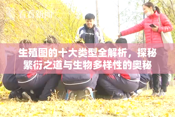 生殖图的十大类型全解析，探秘繁衍之道与生物多样性的奥秘