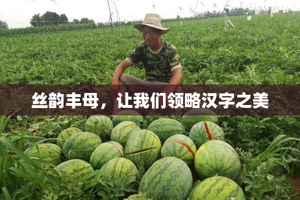 丝韵丰母，让我们领略汉字之美
