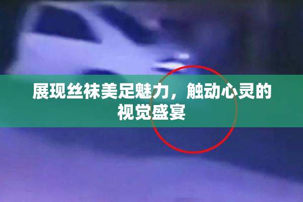 展现丝袜美足魅力，触动心灵的视觉盛宴
