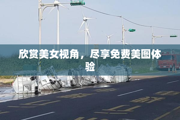 欣赏美女视角，尽享免费美图体验