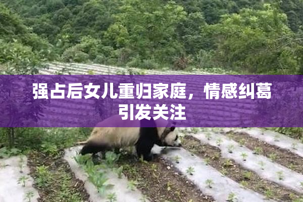 强占后女儿重归家庭，情感纠葛引发关注