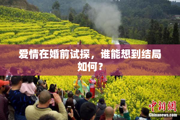 爱情在婚前试探，谁能想到结局如何？