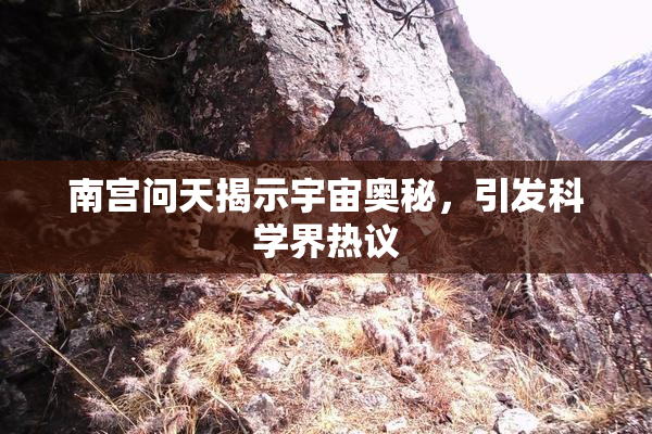 南宫问天揭示宇宙奥秘，引发科学界热议