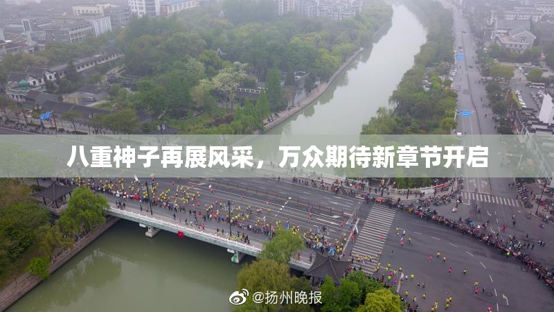 八重神子再展风采，万众期待新章节开启