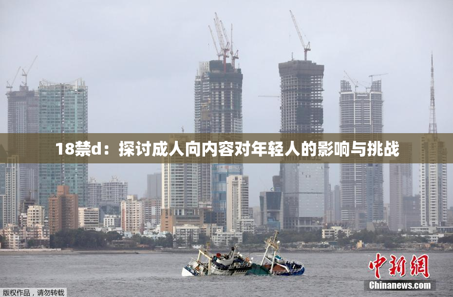 18禁d：探讨成人向内容对年轻人的影响与挑战