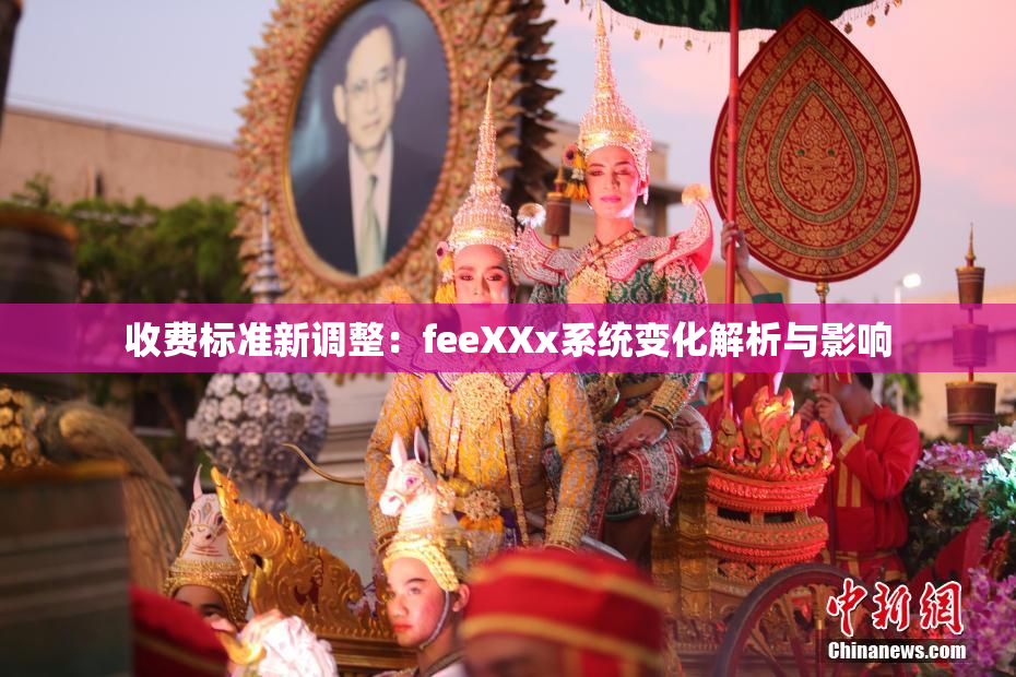收费标准新调整：feeXXx系统变化解析与影响
