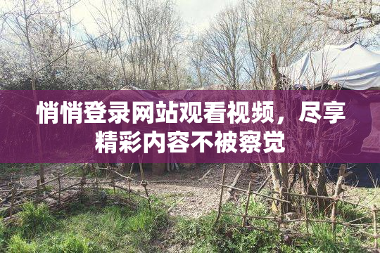 悄悄登录网站观看视频，尽享精彩内容不被察觉