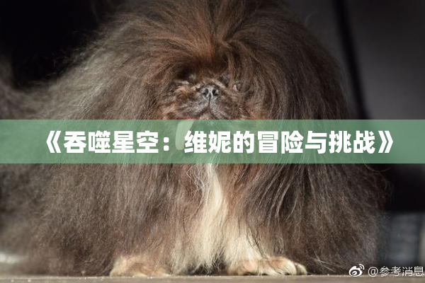 《吞噬星空：维妮的冒险与挑战》
