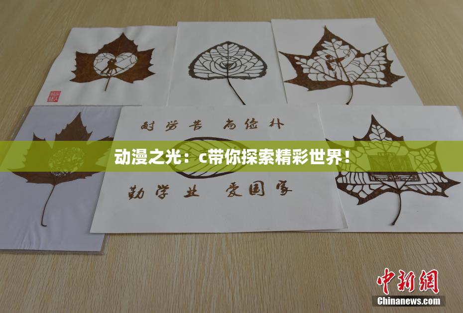 动漫之光：c带你探索精彩世界！
