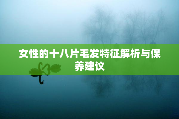 女性的十八片毛发特征解析与保养建议