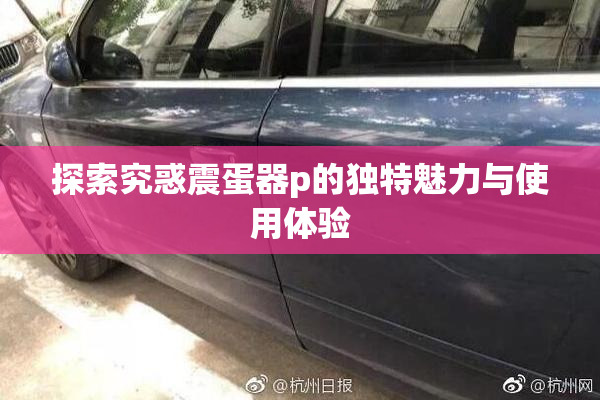 探索究惑震蛋器p的独特魅力与使用体验