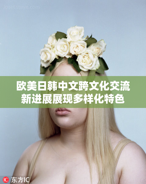 欧美日韩中文跨文化交流新进展展现多样化特色