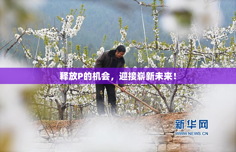 释放P的机会，迎接崭新未来！