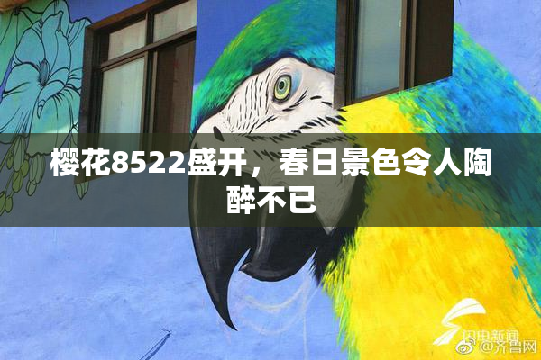 樱花8522盛开，春日景色令人陶醉不已