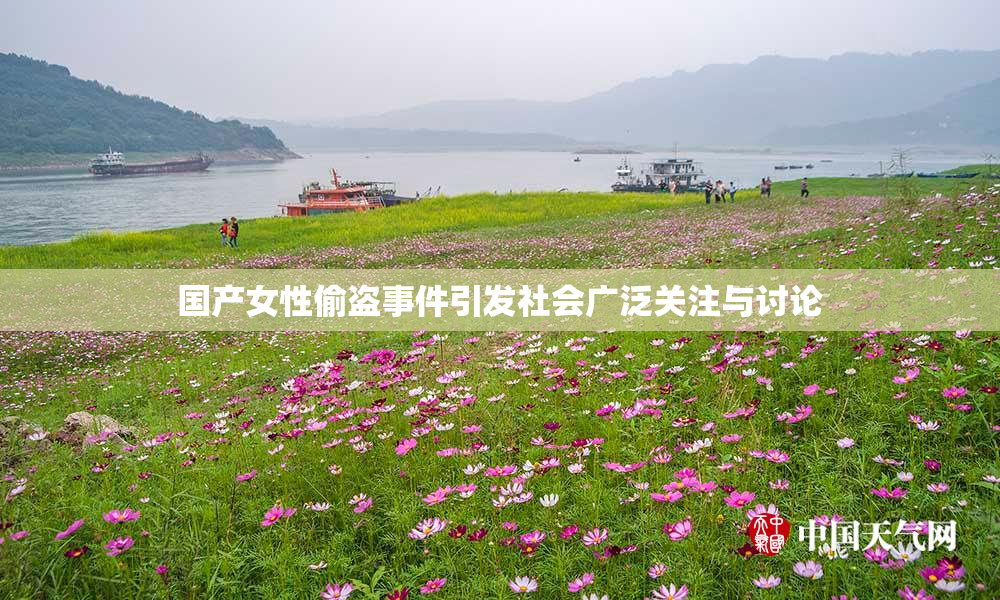 国产女性偷盗事件引发社会广泛关注与讨论