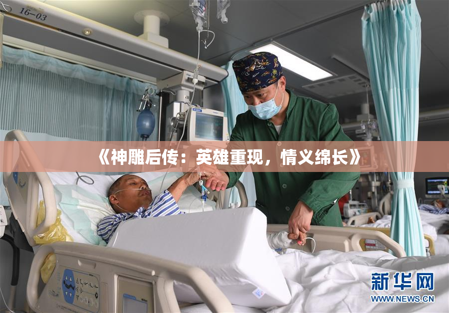 《神雕后传：英雄重现，情义绵长》
