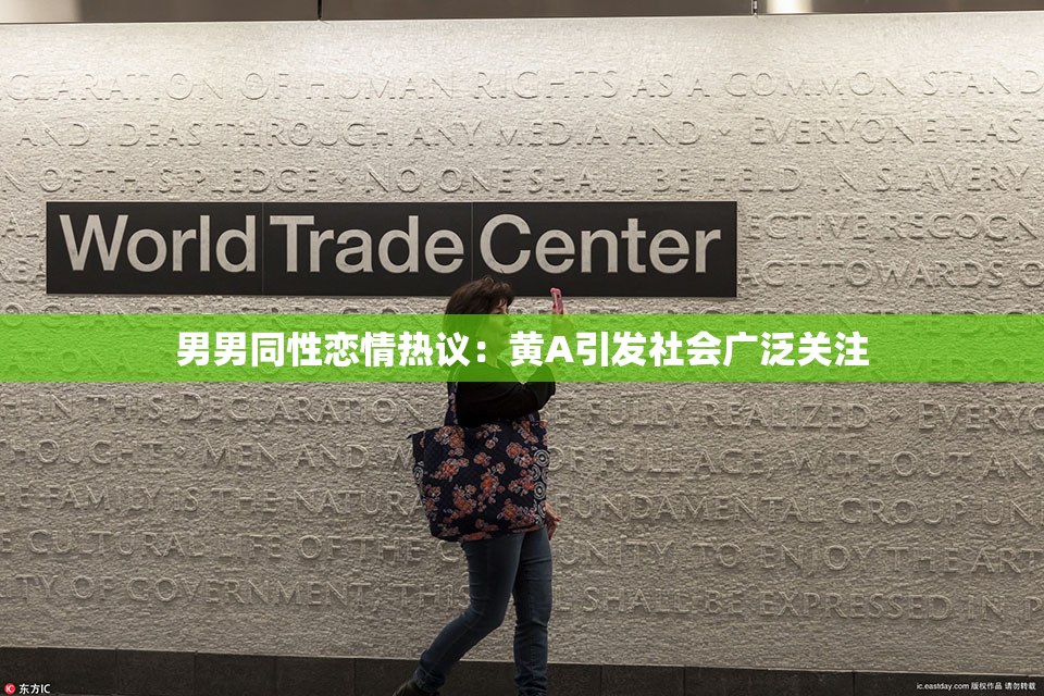 男男同性恋情热议：黄A引发社会广泛关注