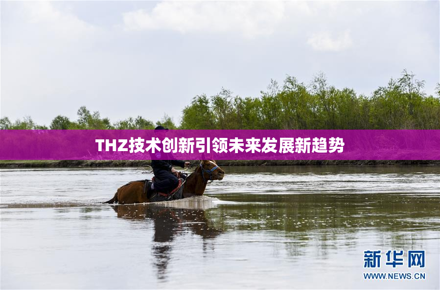 THZ技术创新引领未来发展新趋势