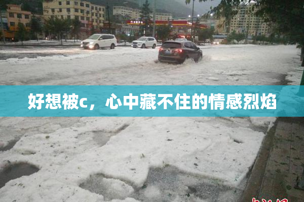 好想被c，心中藏不住的情感烈焰