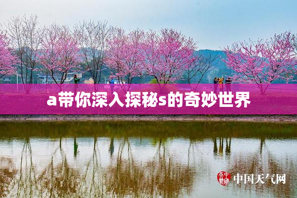 a带你深入探秘s的奇妙世界