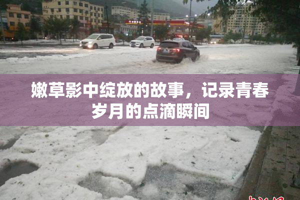 嫩草影中绽放的故事，记录青春岁月的点滴瞬间