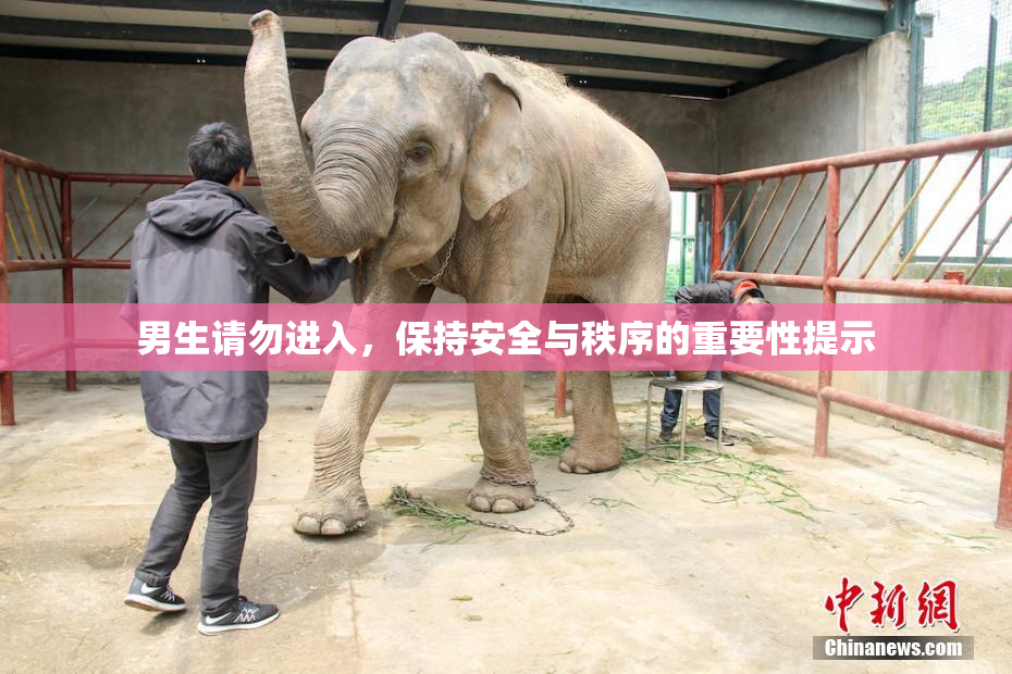 男生请勿进入，保持安全与秩序的重要性提示