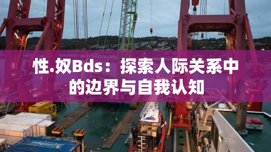 性.奴Bds：探索人际关系中的边界与自我认知