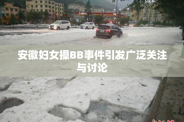 安徽妇女搡BB事件引发广泛关注与讨论