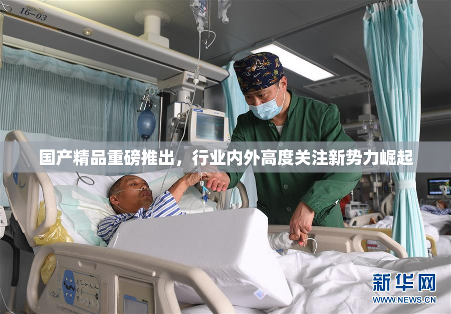 国产精品重磅推出，行业内外高度关注新势力崛起