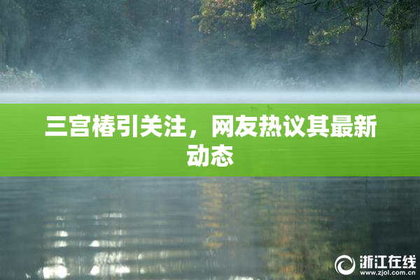 三宫椿引关注，网友热议其最新动态