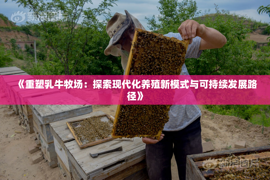 《重塑乳牛牧场：探索现代化养殖新模式与可持续发展路径》