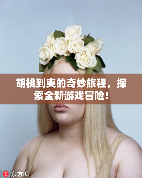 胡桃到爽的奇妙旅程，探索全新游戏冒险！