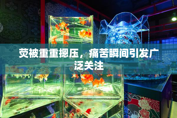 荧被重重摁压，痛苦瞬间引发广泛关注