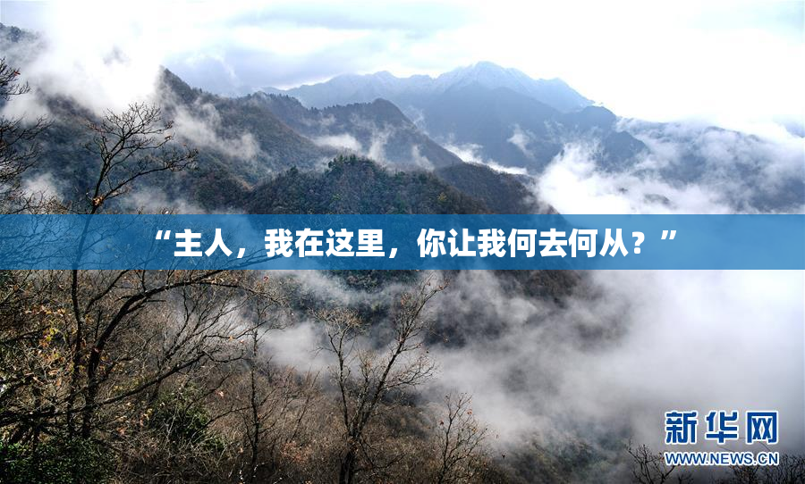 “主人，我在这里，你让我何去何从？”