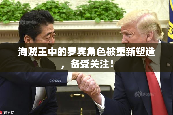 海贼王中的罗宾角色被重新塑造，备受关注！