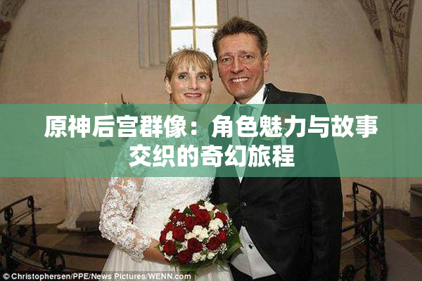 原神后宫群像：角色魅力与故事交织的奇幻旅程