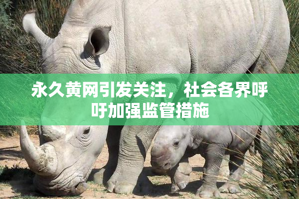 永久黄网引发关注，社会各界呼吁加强监管措施
