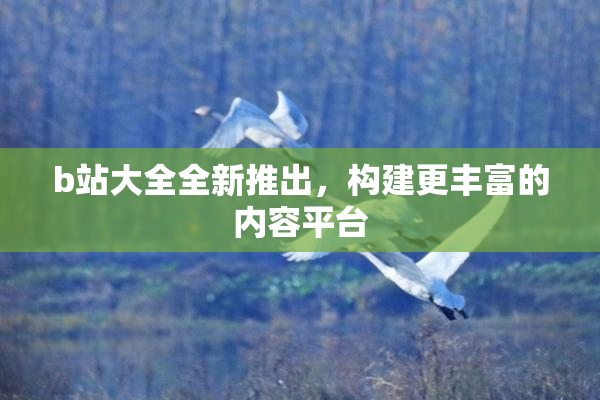 b站大全全新推出，构建更丰富的内容平台