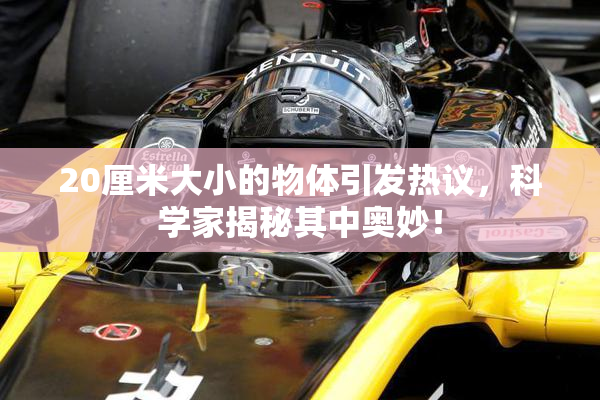 20厘米大小的物体引发热议，科学家揭秘其中奥妙！