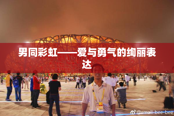 男同彩虹——爱与勇气的绚丽表达
