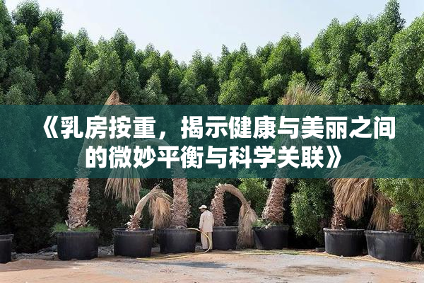 《乳房按重，揭示健康与美丽之间的微妙平衡与科学关联》