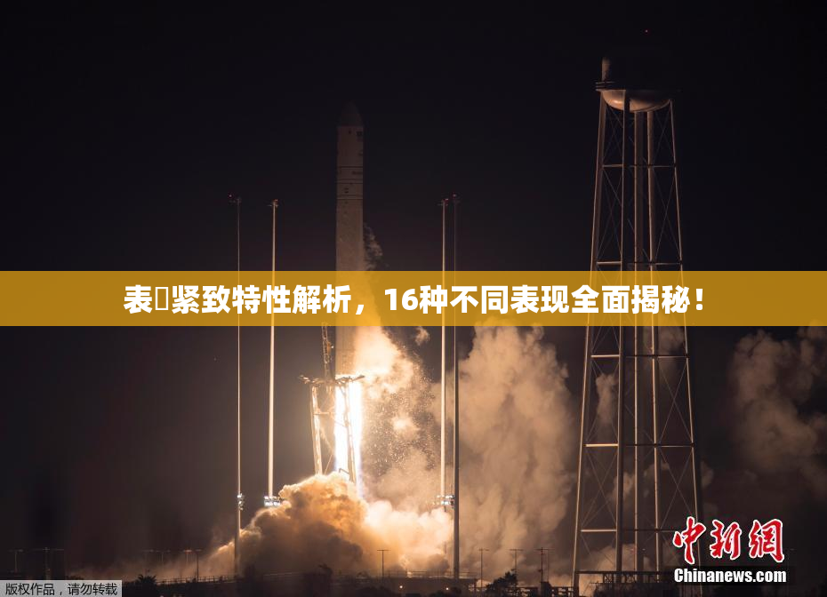 表妺紧致特性解析，16种不同表现全面揭秘！