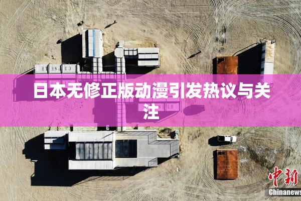 日本无修正版动漫引发热议与关注