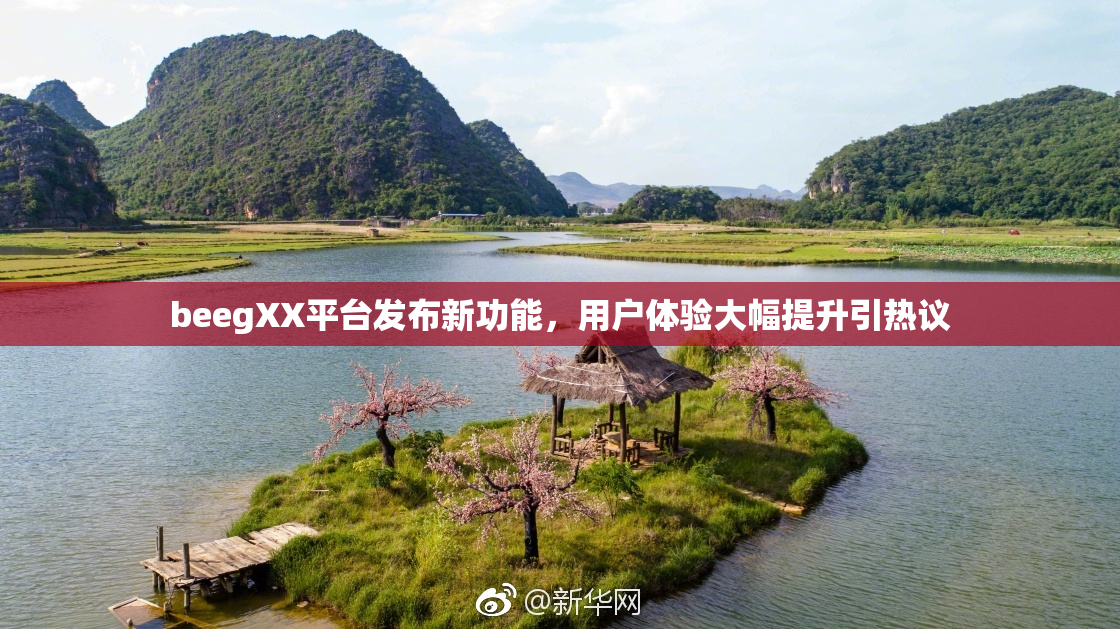 beegXX平台发布新功能，用户体验大幅提升引热议