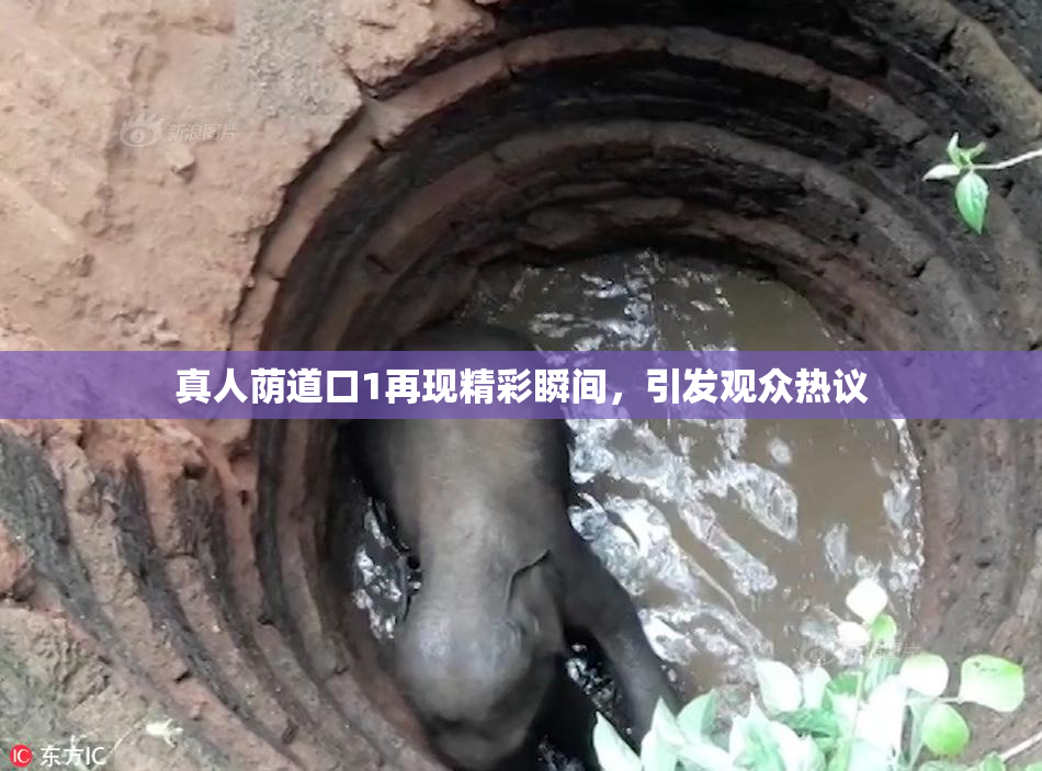 真人荫道口1再现精彩瞬间，引发观众热议