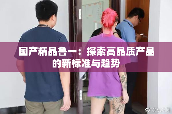 国产精品鲁一：探索高品质产品的新标准与趋势