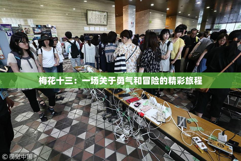梅花十三：一场关于勇气和冒险的精彩旅程