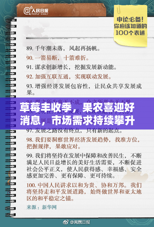 草莓丰收季，果农喜迎好消息，市场需求持续攀升！