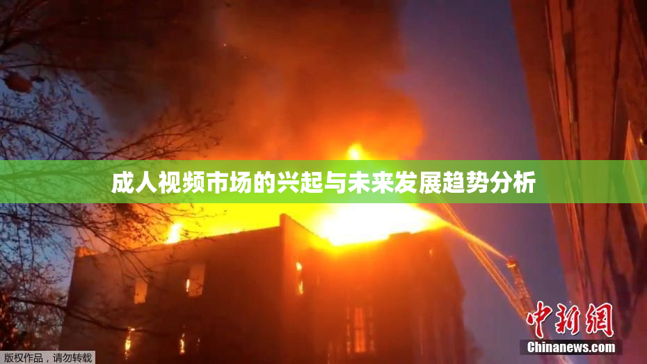 成人视频市场的兴起与未来发展趋势分析