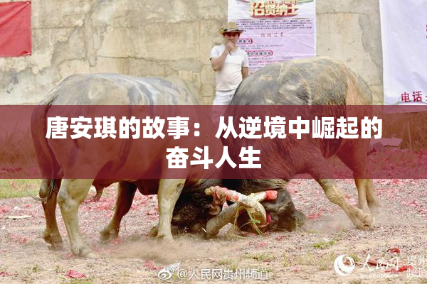 唐安琪的故事：从逆境中崛起的奋斗人生